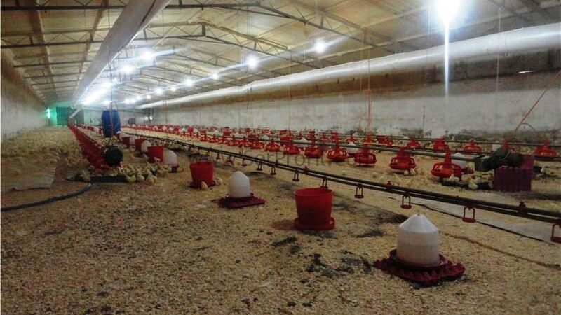 Fason Et ve Şarküteri Üretimi: Güvenilir Firmalar - Üretim Rehberi