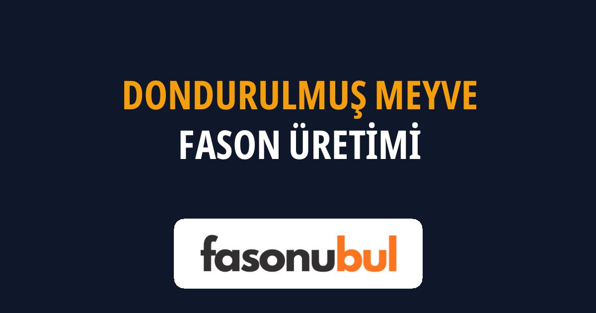 Dondurulmuş Meyve Fason Üreticileri